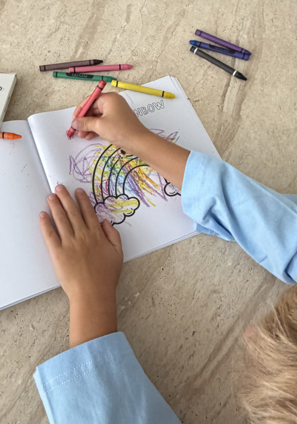 treats world colouring set
